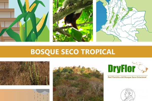 Cartilla del bosque seco tropical