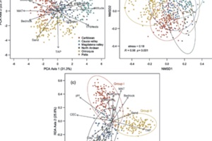 Disentangling the environmental heterogeneity, floristic distinctiveness and current threats of tropical dry forests in Colombia