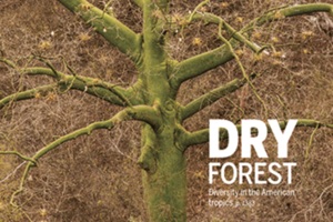 Plant diversity patterns in neotropical dry forests and their conservation implications