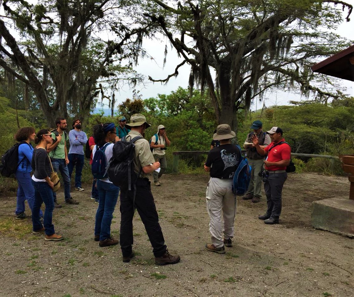 dryflor reunion campo