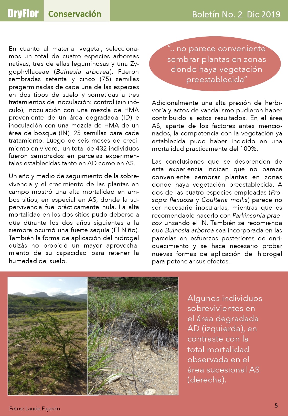 Boletin DryFlor No2 Dic2019 Final page 0005 min