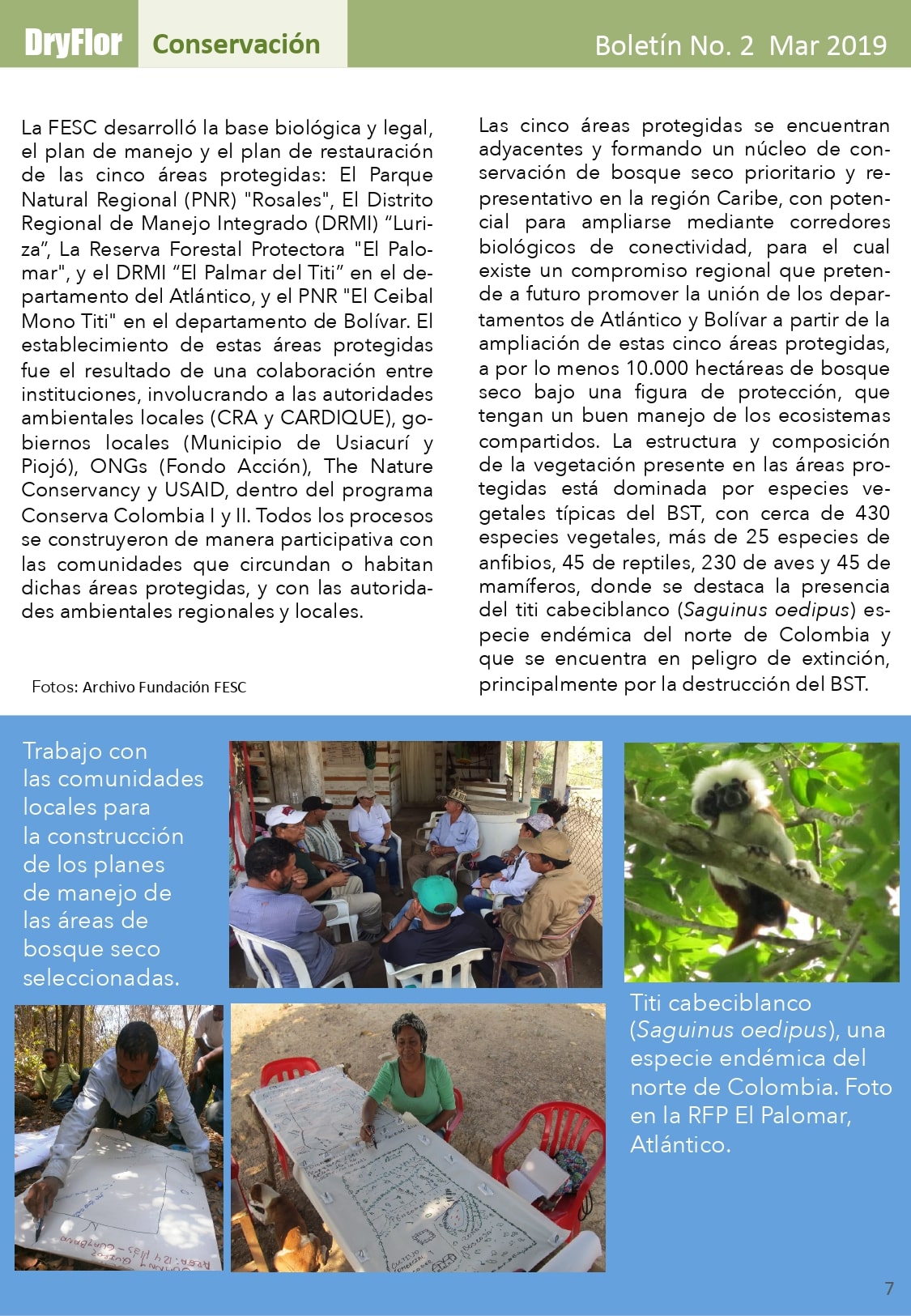 Boletin DryFlor No2 Dic2019 Final page 0007 min
