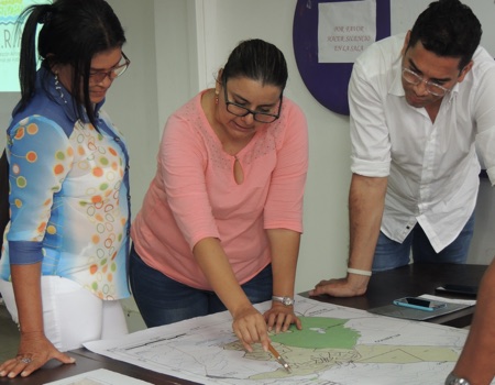 proyecto area palmar titi