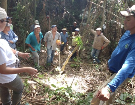Caracterización vegetal de la reserva de Bosque Seco "Los Titis de San Juan" en el municipio de San Juan Nepomuceno (Bolívar)
