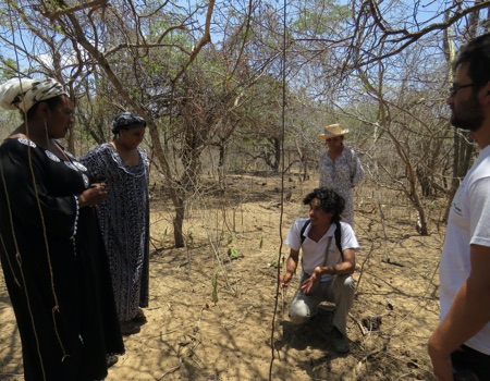 Establecimiento Parcelas Permanentes de Monitoreo (PPM), en bosques secos tropicales en la región Caribe, como parte de la red de monitoreo con parcelas permanentes en Colombia