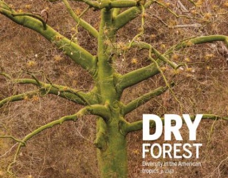 Red Latinoamericana Dryflor