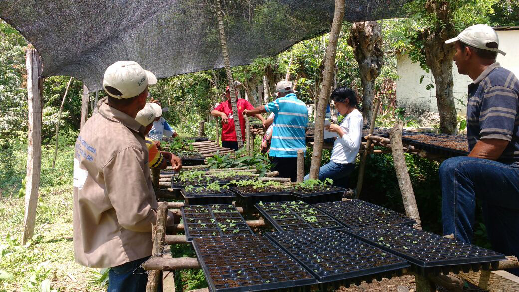 Diseño e implementación del Plan de restauración y monitoreo para los bosques secos en el municipio de San Juan Nepomuceno, Bolívar