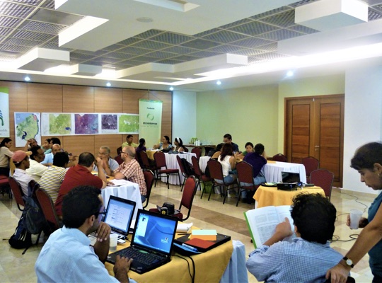 Generación de metodologías, planes de manejo y áreas protegidas